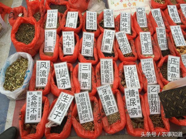 来说,昨天的大集是一年最热闹的一次,集市上卖货的不仅只有本地的农民