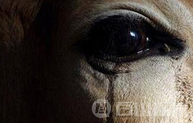 阴阳眼是什么?阴阳眼是真的吗?