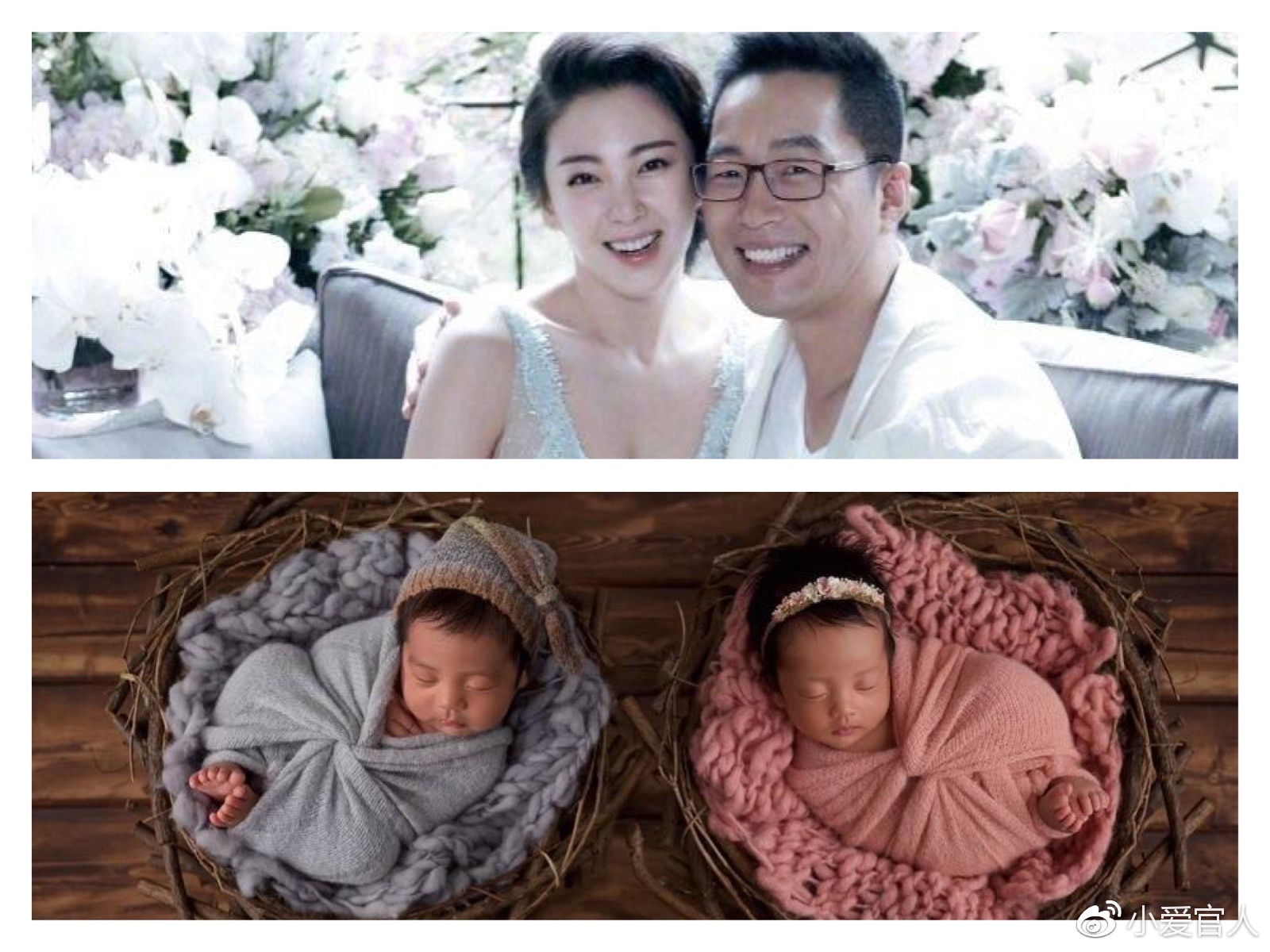 张雨绮和前任因要孩子曾起争执却为袁巴元生龙凤胎