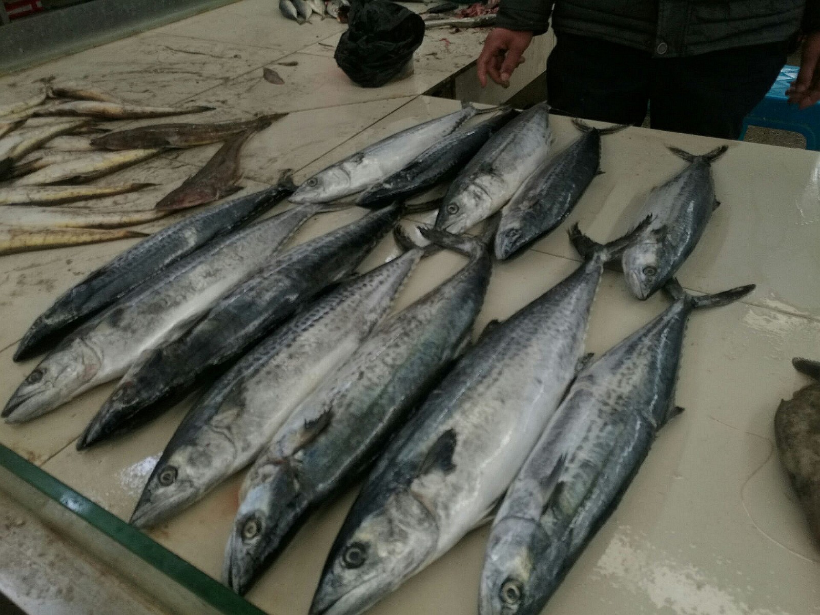 气温骤降海产品全线涨价带黄的棱子蟹涨幅最大卖到85一斤