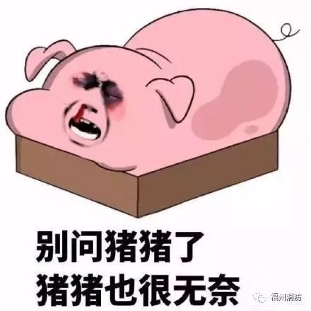 丈夫嫌妻子太霸道!一气之下竟然让猪.