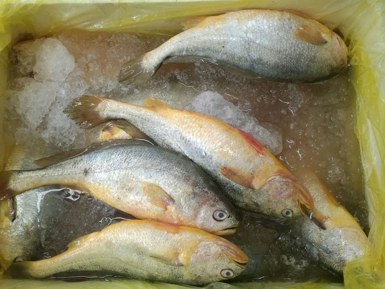 气温骤降海产品全线涨价带黄的棱子蟹涨幅最大卖到85一斤