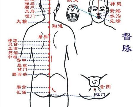 凌晨两点钟的救命电话：当城市突然需要一张床
