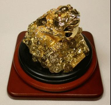 8358-fynwxum6047669.jpg