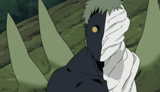 其中一个比较特殊的成员是绝,分为白绝和黑绝,白绝是古代的人类所变