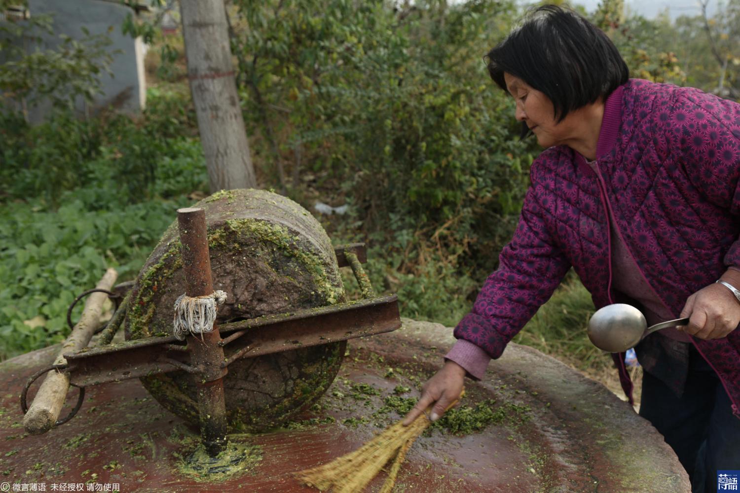 城里儿女想念家乡味道 老人推数百斤石磨制辣椒酱
