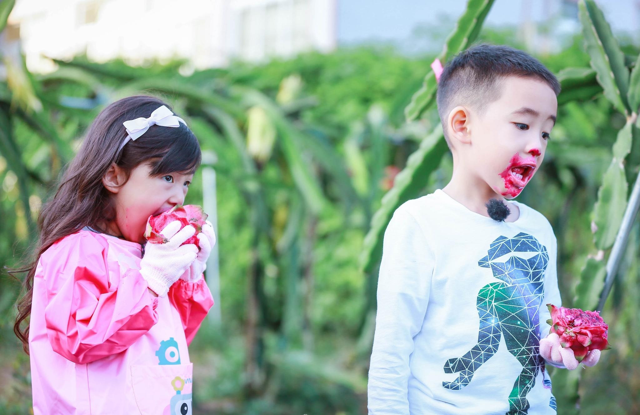 jasper耍赖皮,被陈小春抓住弱点,秒变乖!