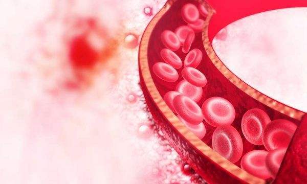 血管怕这4种食物,早晚吃一点血管到老都通畅