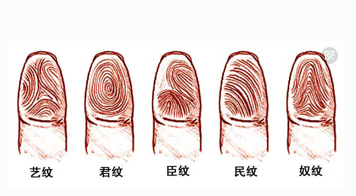 指纹上有这些特征的人,事业上有贵人相助,能取得很大成功