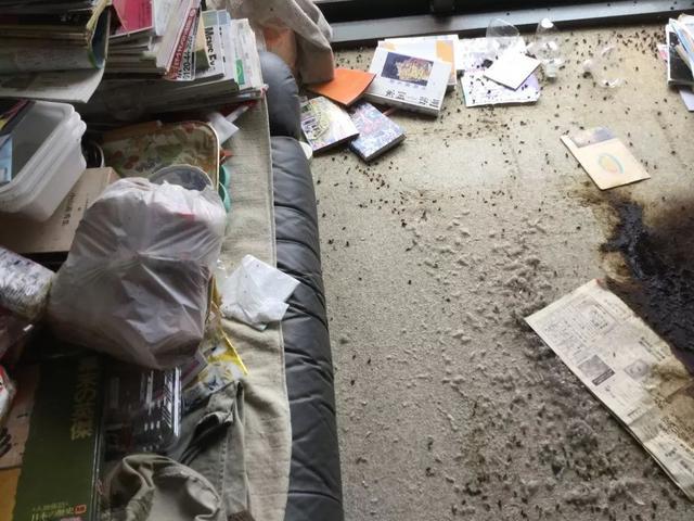 “孤独死”有多可怕, 看完现场你就知道了|孤独|可怕|知心_新浪新闻
