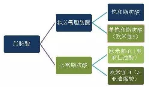 什么是"必需脂肪酸",今天就来告诉你
