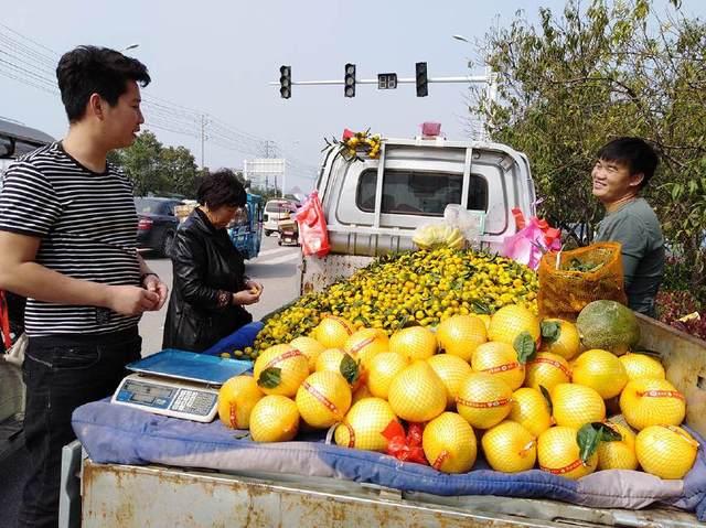 农村小伙子到处卖水果,月入过万,都是起早贪黑劳作得来|小伙子|农村|