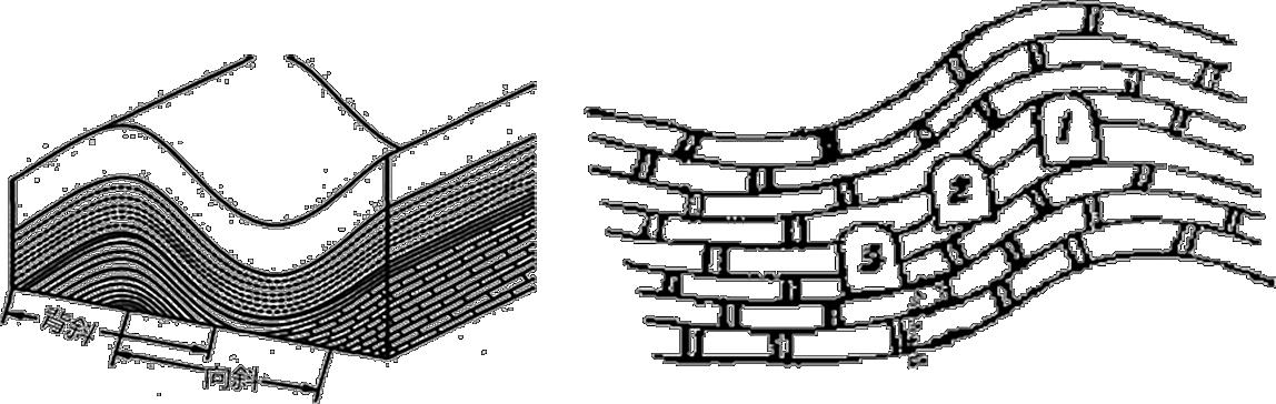 水平构造,单斜构造,褶皱构造