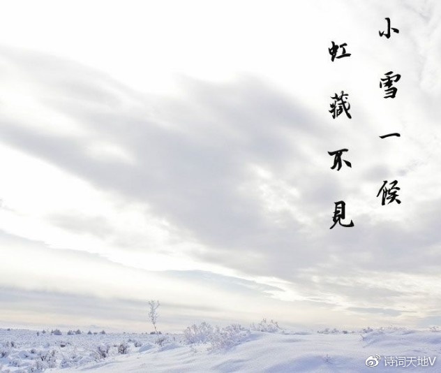 小雪已至,天寒心暖!