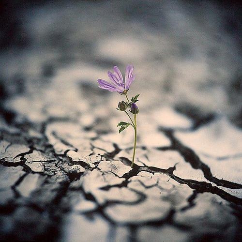 五年"痔疮"患者自测,3个妙招,一个月痔疮消除