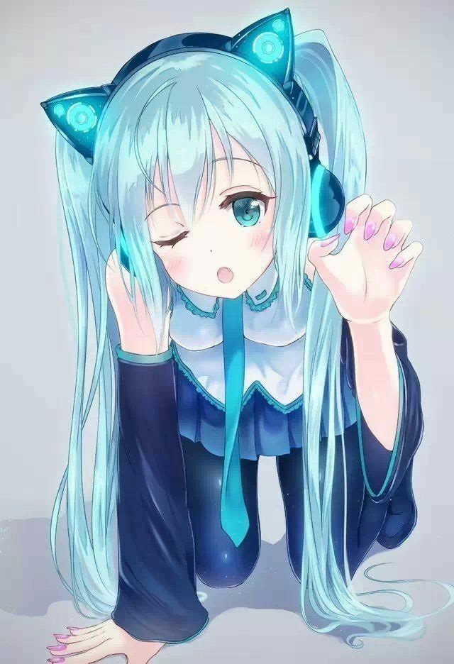 动漫猫耳娘二次元少女——可萌可傲可娇,要来一只吗?