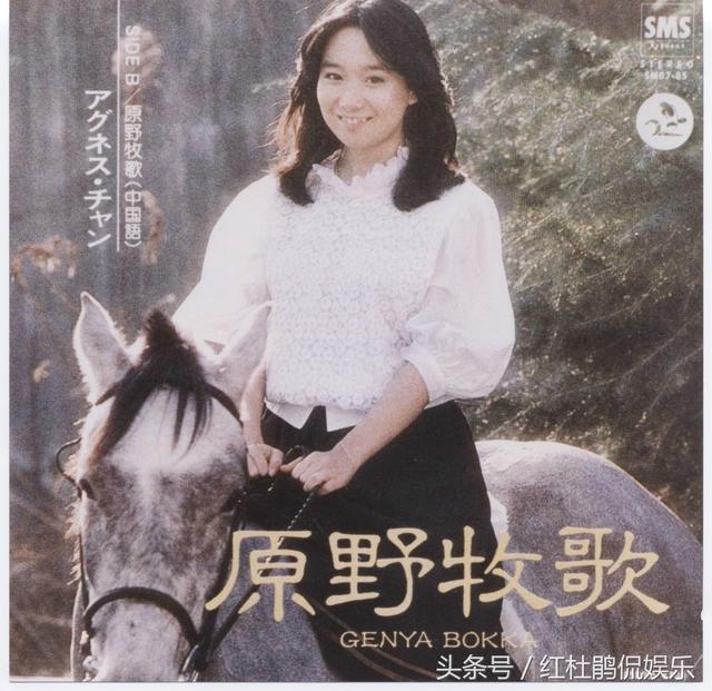 陈美龄持英国护照,老公是日本人,三个儿子分别拥有加拿大,美国,中国