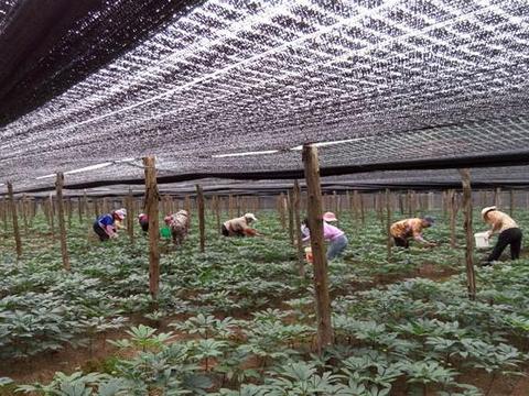 农村一亩地能租多少钱?这几种情况农民都会.