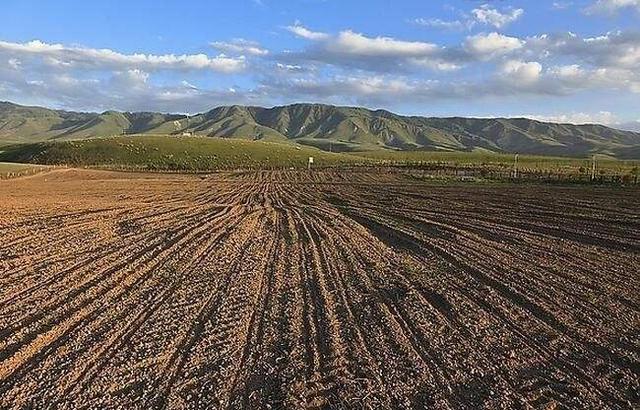 农村一亩地能租多少钱?这几种情况农民都会妥