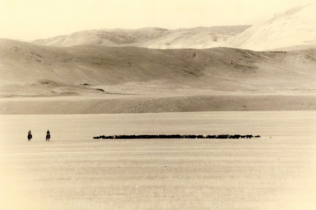 山本昌南的诗意世界