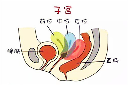 易孕女人4大特性,你都符合吗?|宫寒|精子|月经_新浪新闻