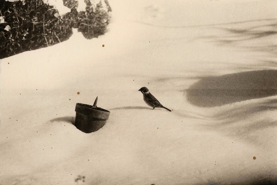 山本昌南的诗意世界