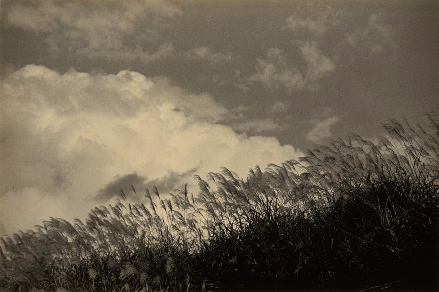 山本昌南的诗意世界