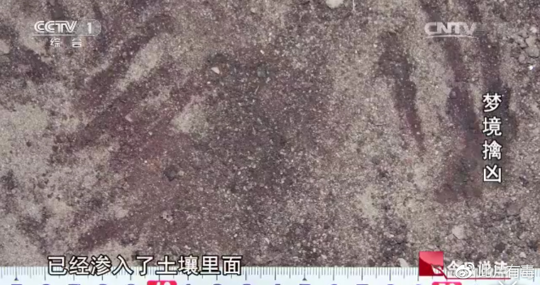 撒贝宁时间:烟锁殡仪馆、梦境擒凶、行李箱碎