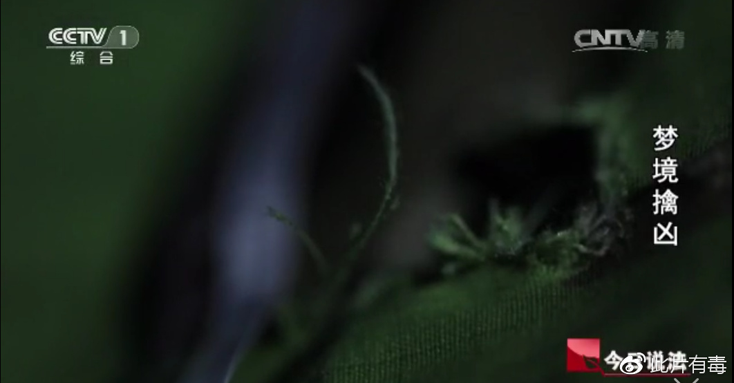 撒贝宁时间:烟锁殡仪馆、梦境擒凶、行李箱碎