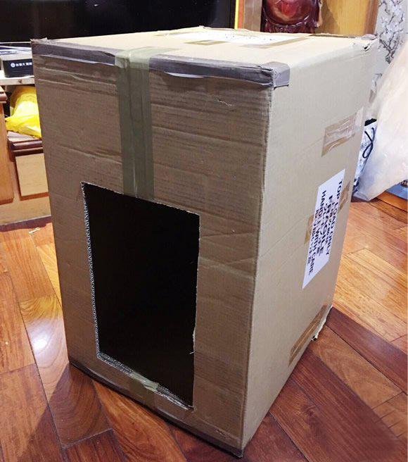 纸箱|双十一|狗窝_新浪新闻