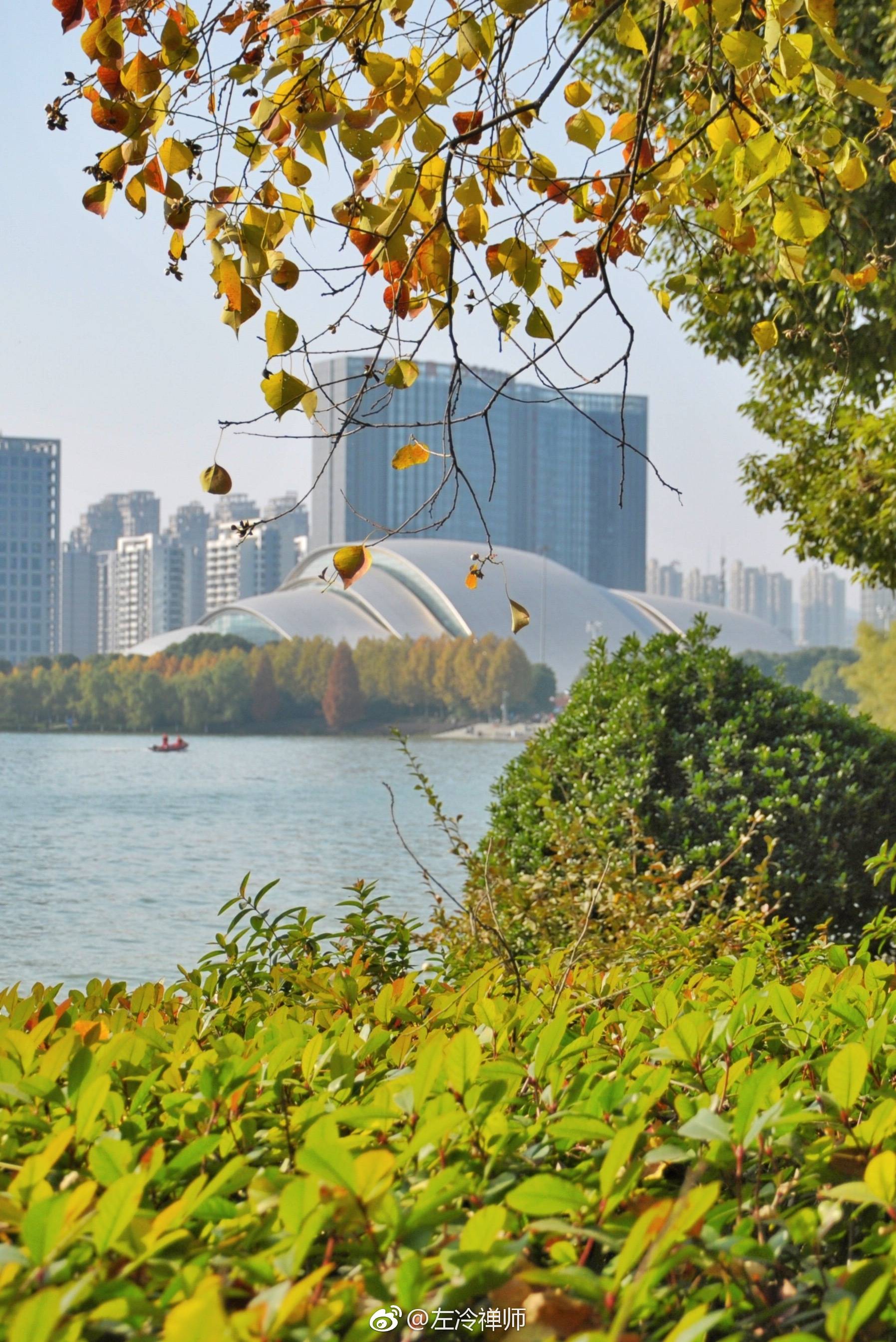 合肥天鹅湖秋色浓