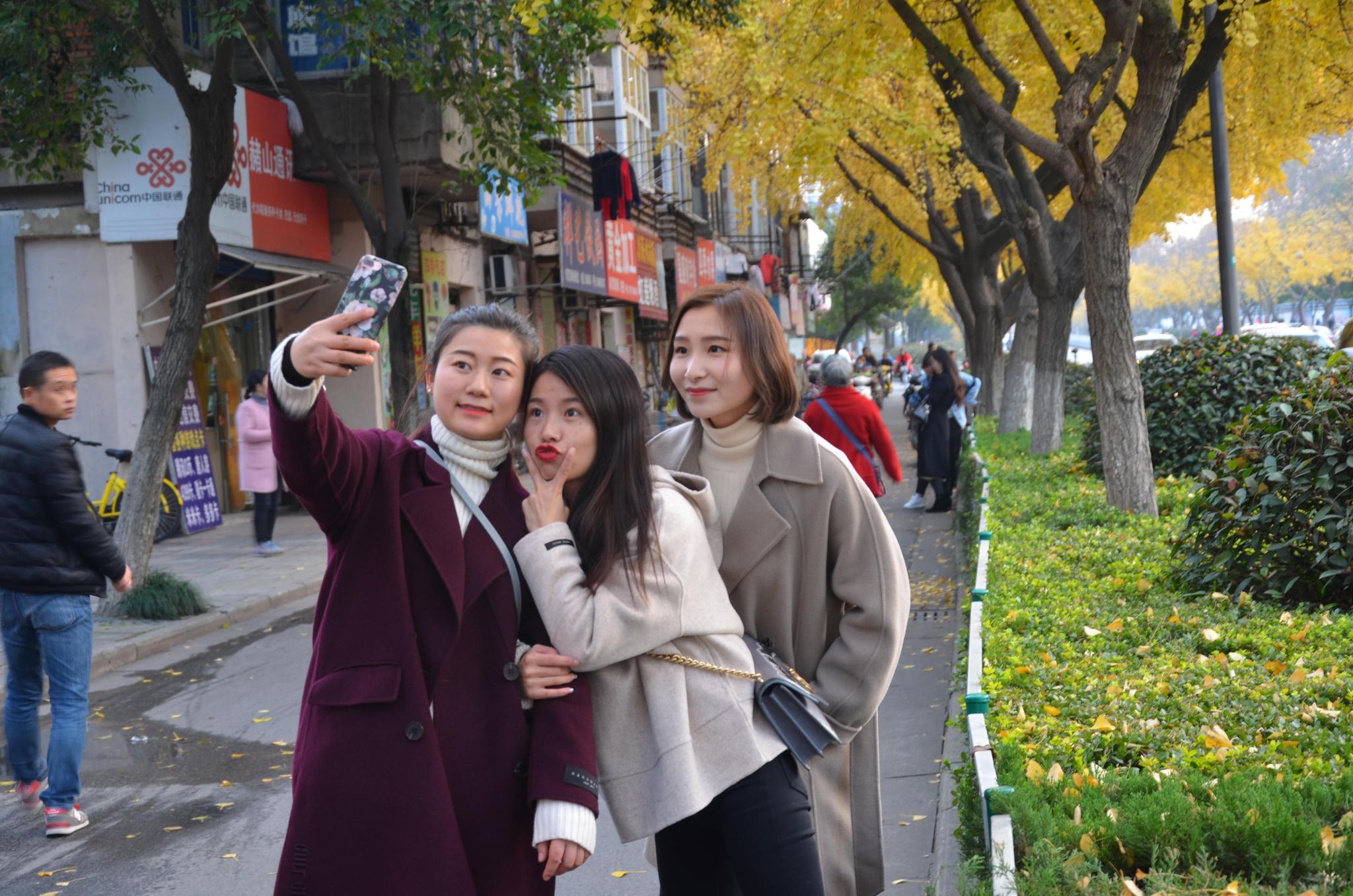 路人纷纷驻足拍树叶 称错过又要等一年