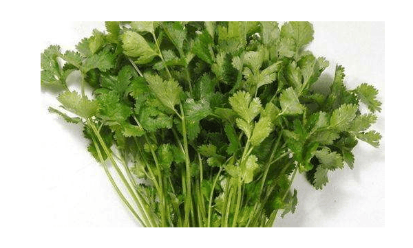 为什么一跑步腿就痛,试试白酒加香菜轻松跑完