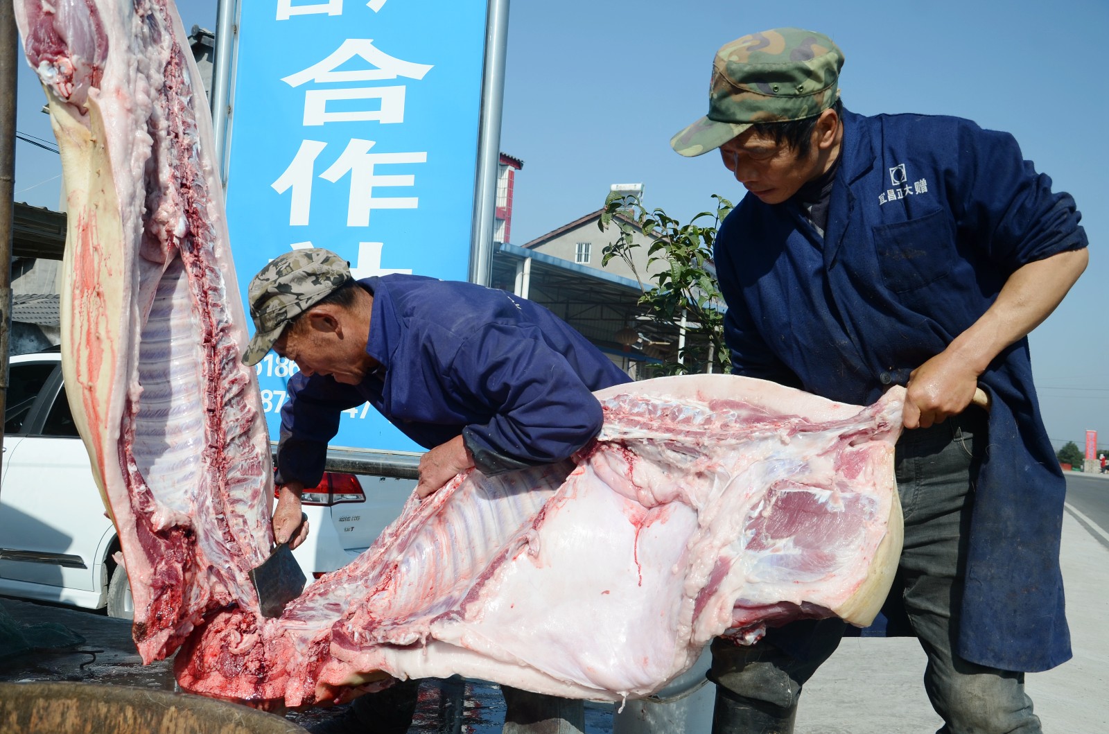 杀猪季怪事!城里人到农村预约买猪,农村粮食猪抢手火爆