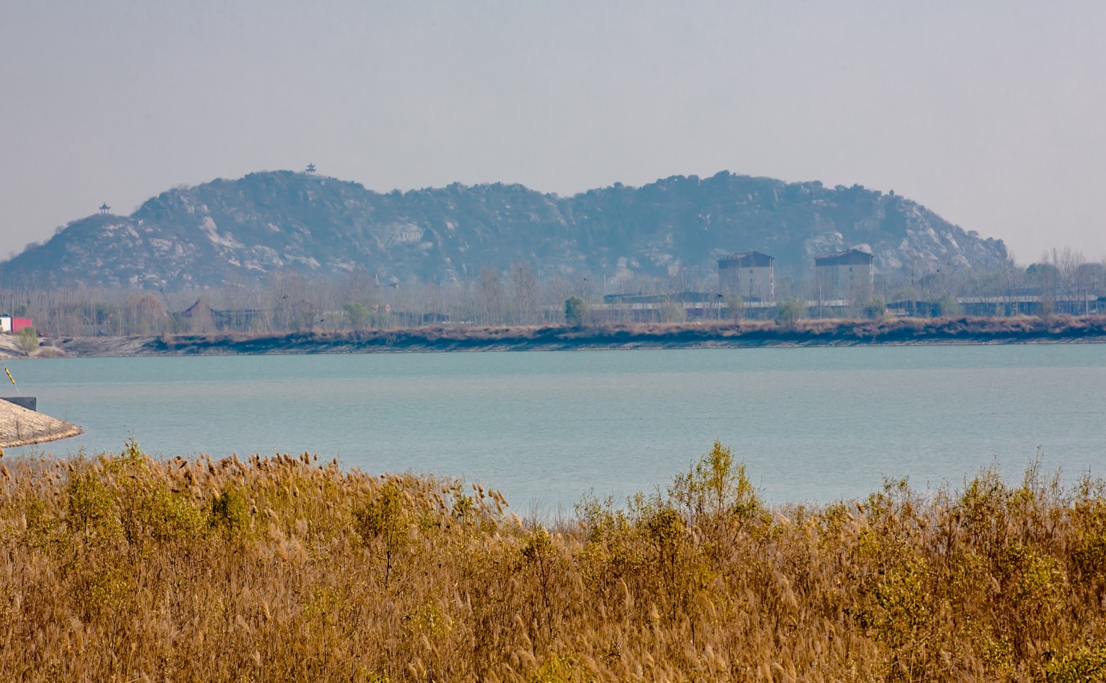 天鹅的栖息地——济南龙湖湿地