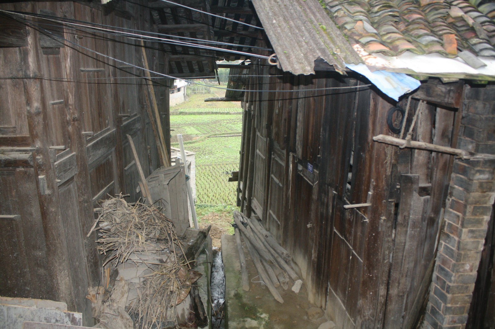 没有人居住的旧木房子烂得非常快很多人不知道原因