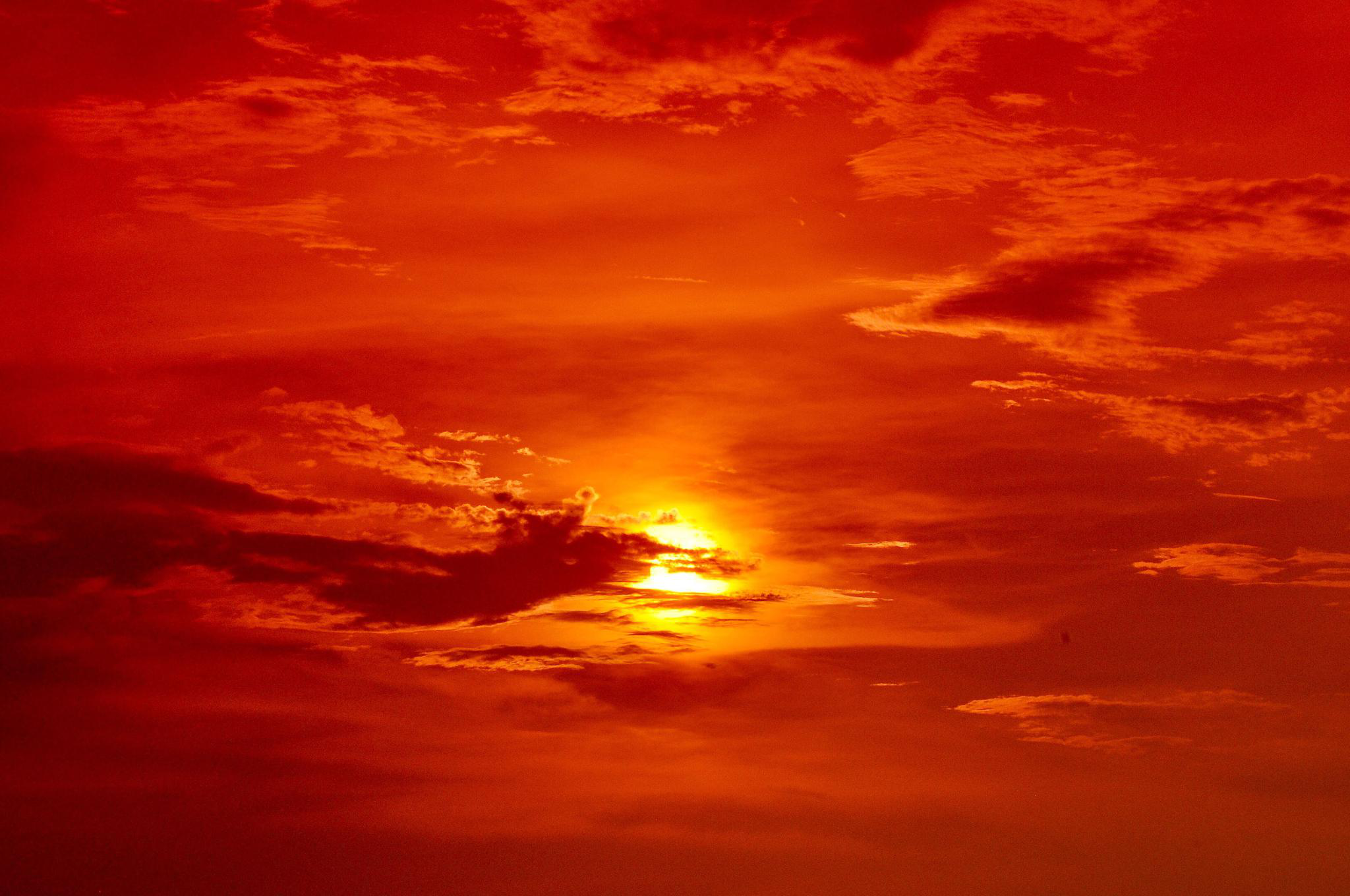 太阳,依旧会从东方升起