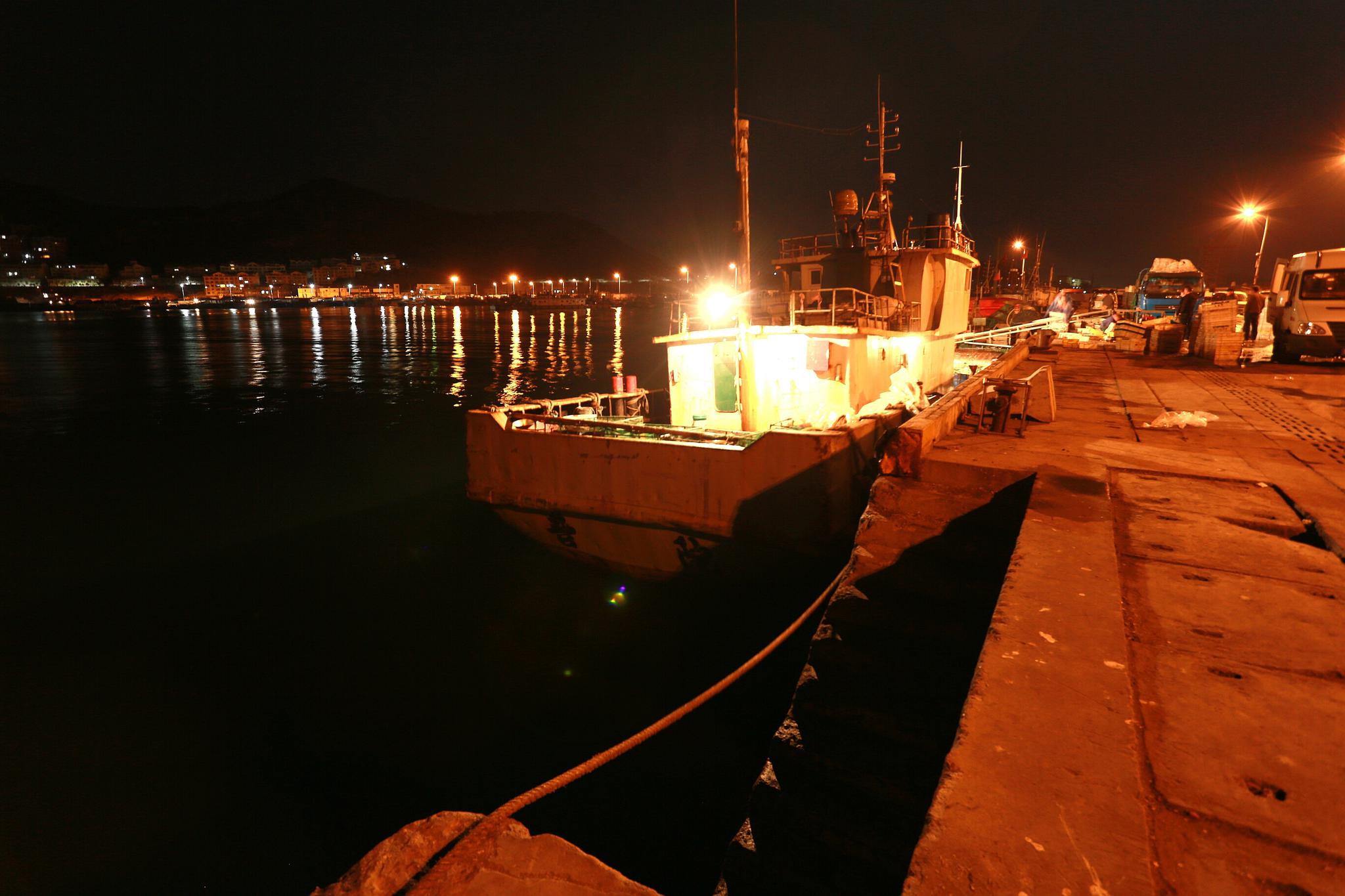 容桂渔人码头夜景图片图片