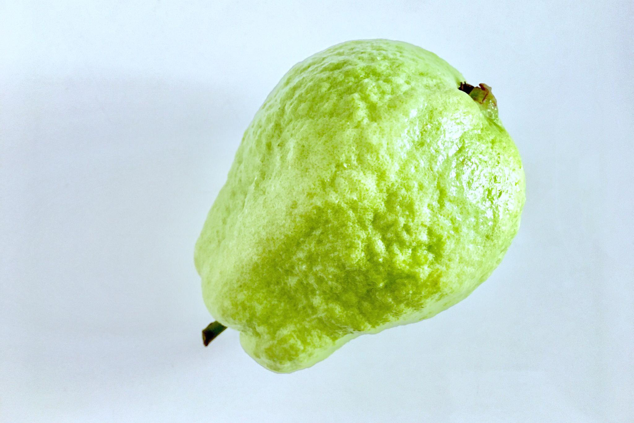 红心芭乐别名番石榴