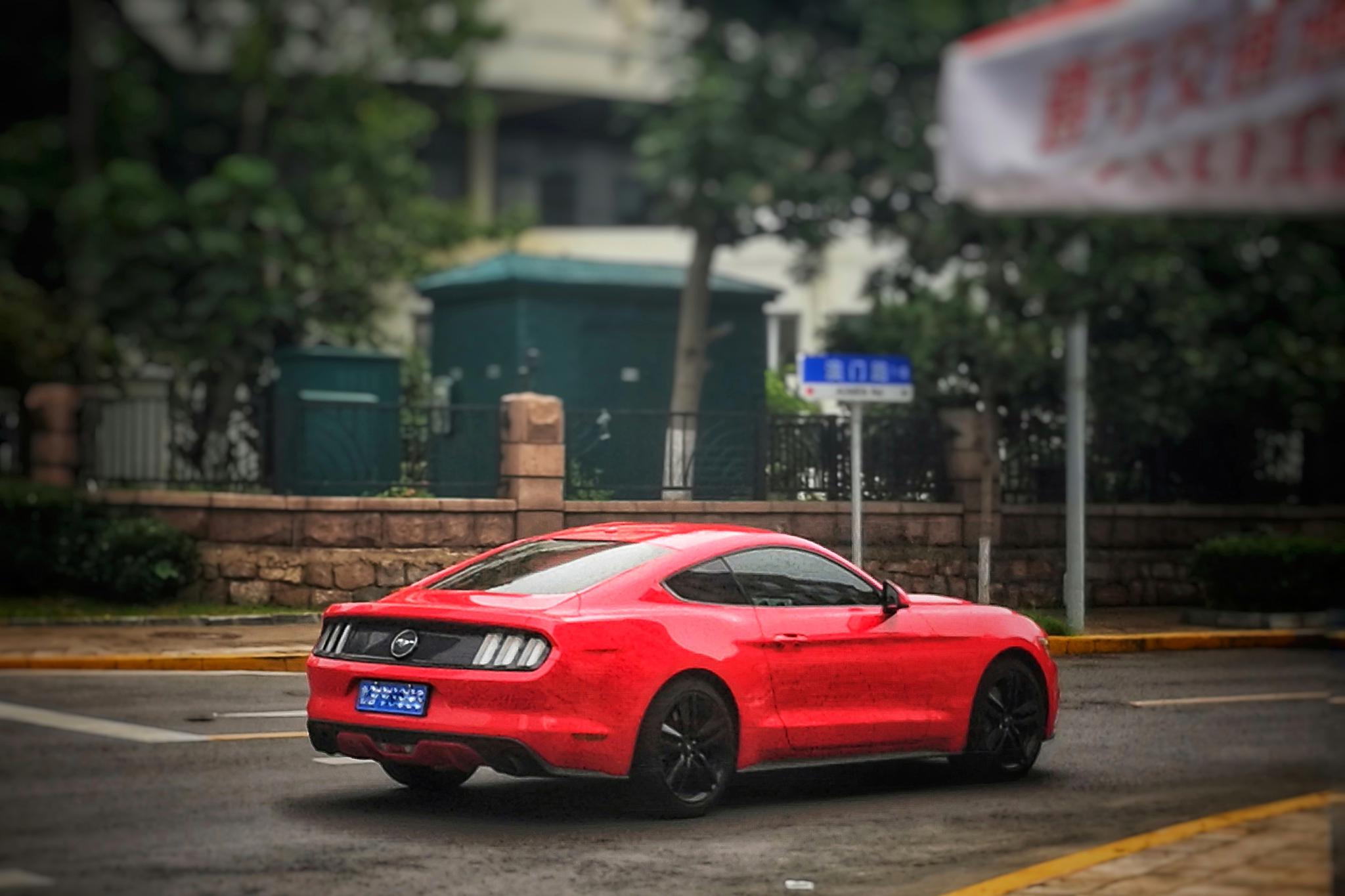 道路上行驶中的汽车