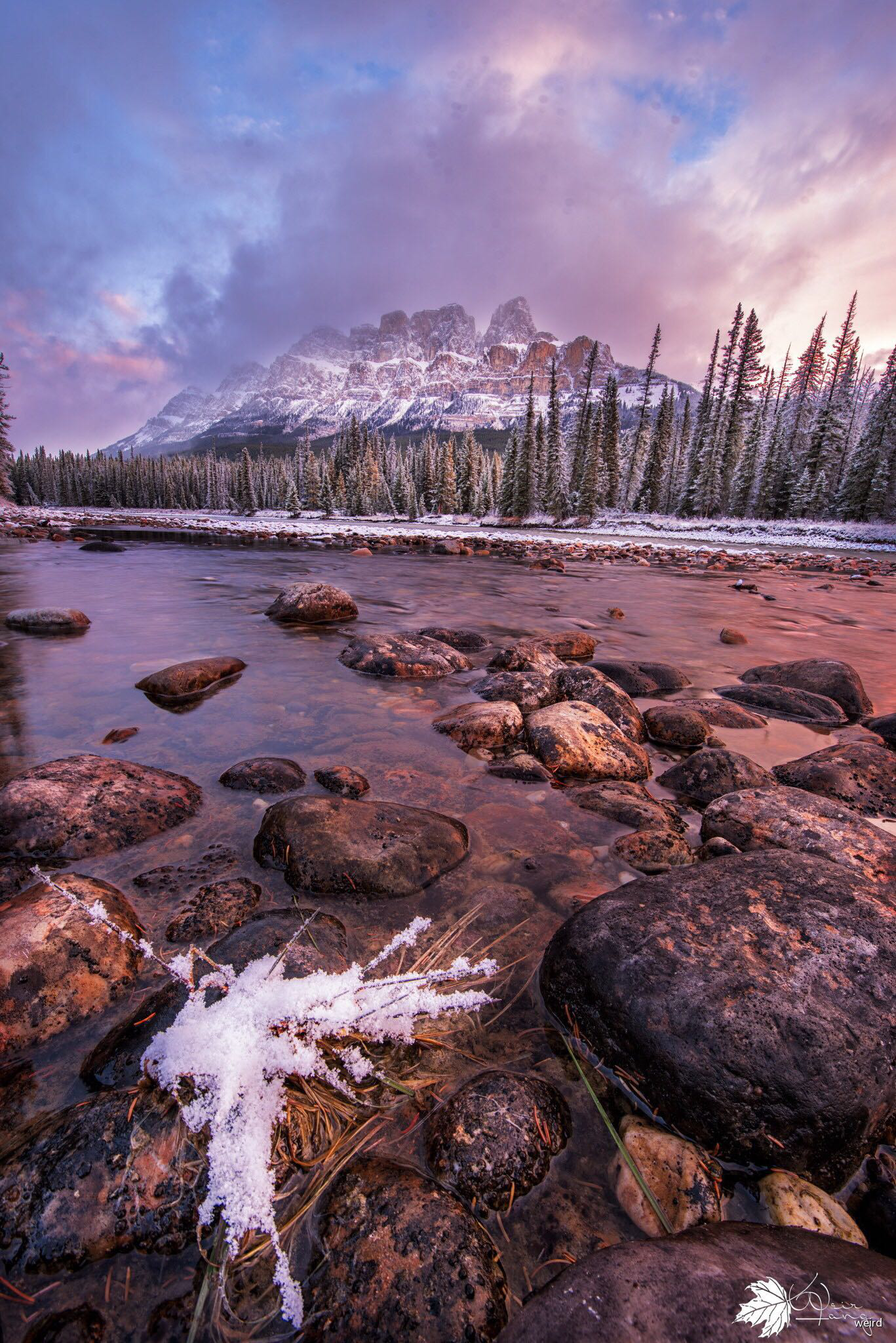 美丽如画的风景,让人流连忘返_新浪看点