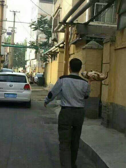 狗子:我走还不行吗