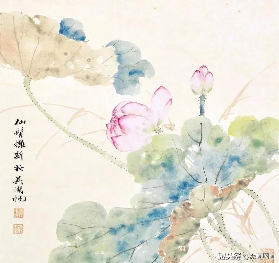 吴湖帆中国画没骨荷花欣赏