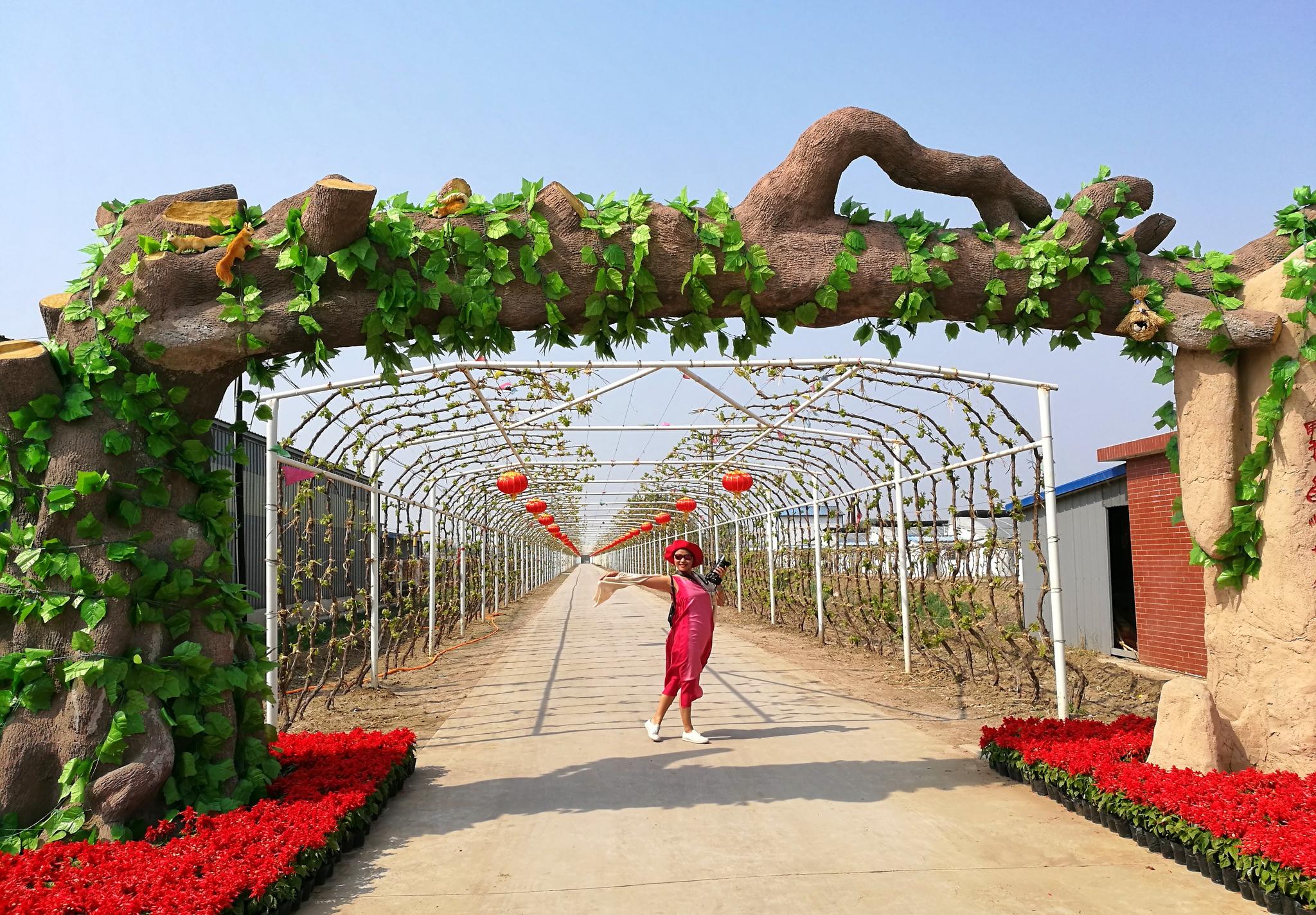 五一去曹妃甸农业观光园采摘