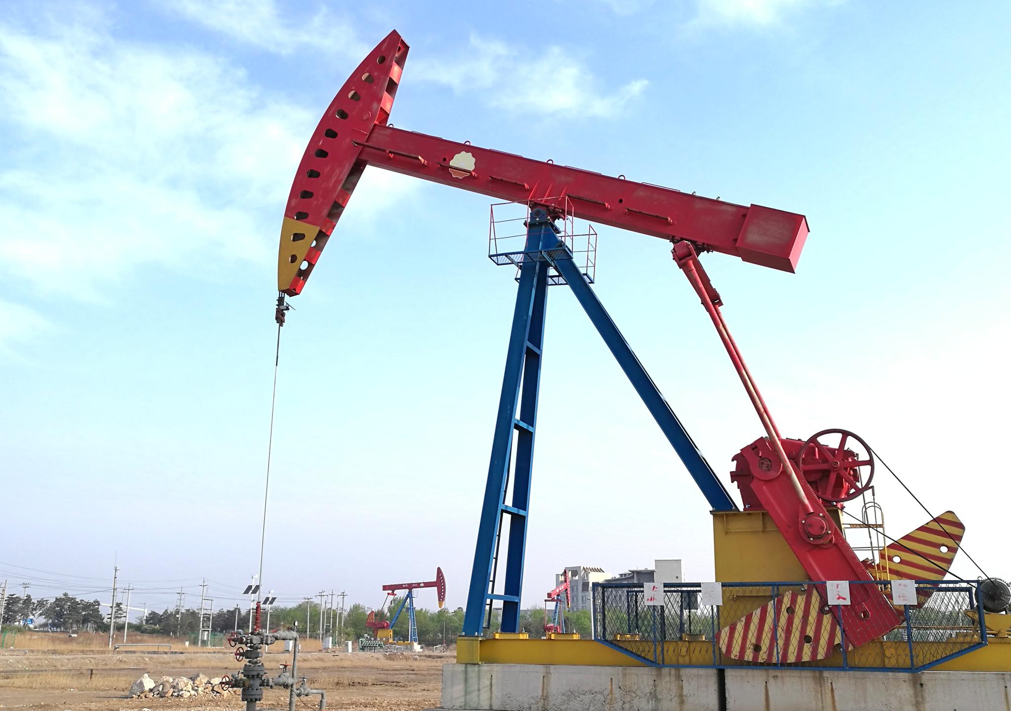 清晨的曹妃甸空气清新气温适宜 湿地是磕头机在忙碌|曹妃甸|磕头机