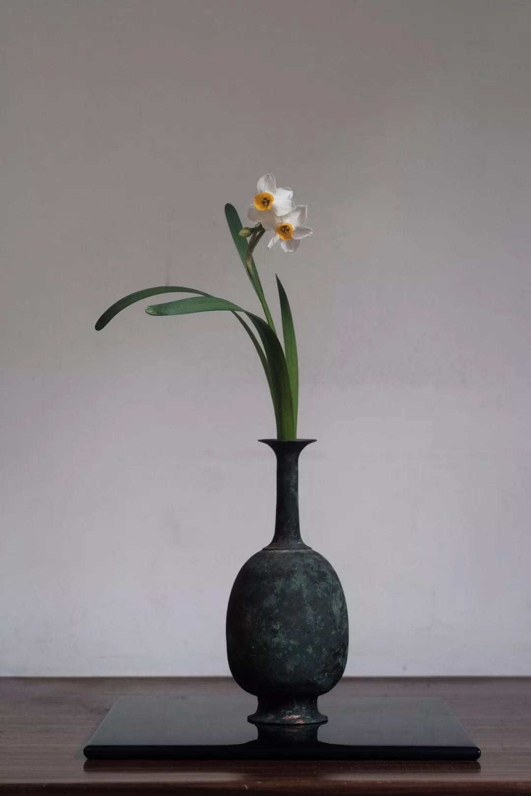 一瓶一枝一花,雅致十足插花