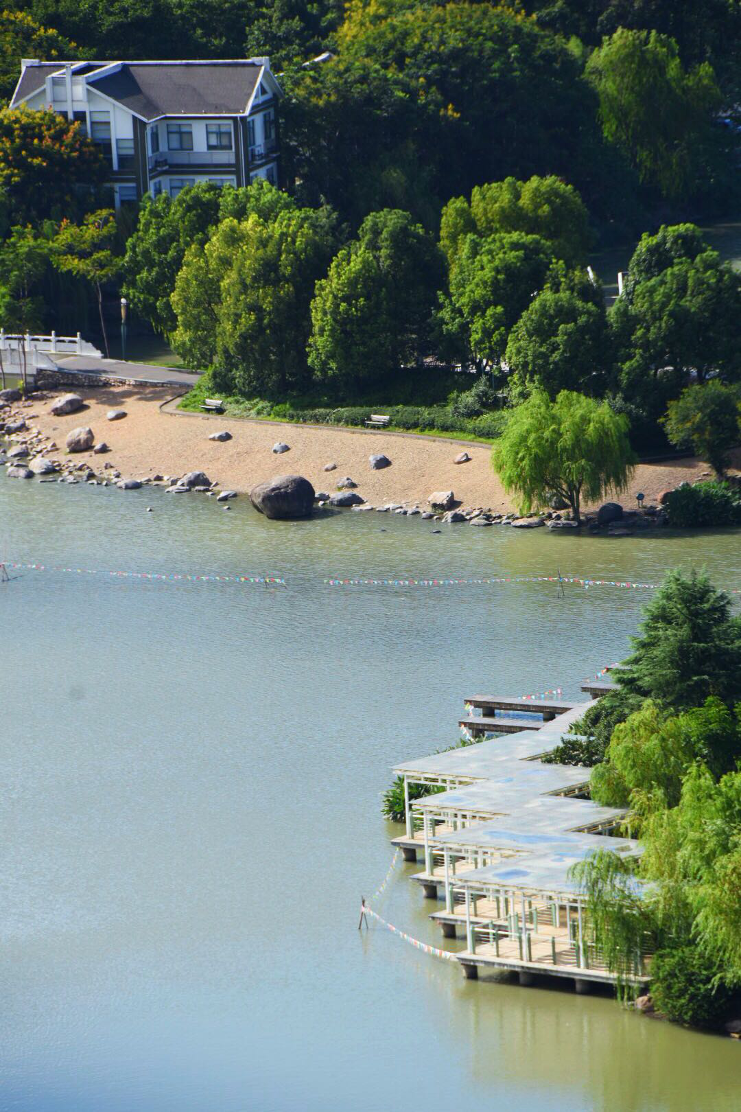俯拍温岭锦屏公园及周边