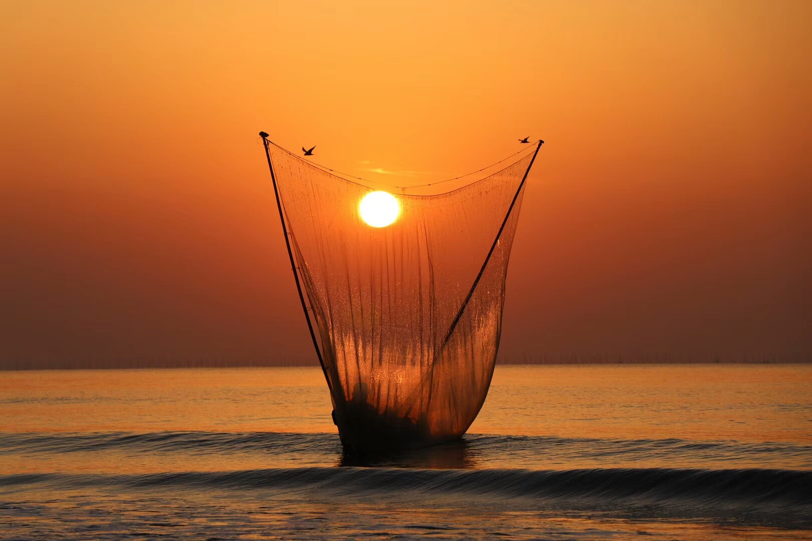 踩着高跷推小虾日照千年老传统