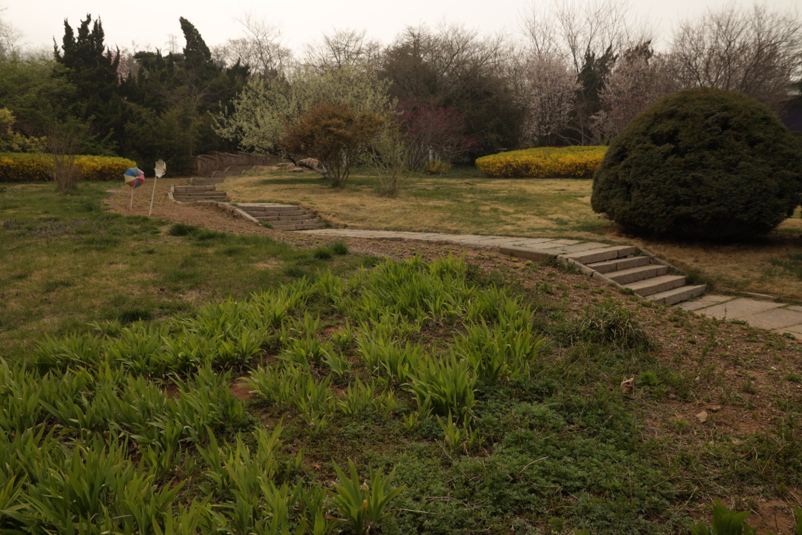 户外摄影图集 踏青随拍