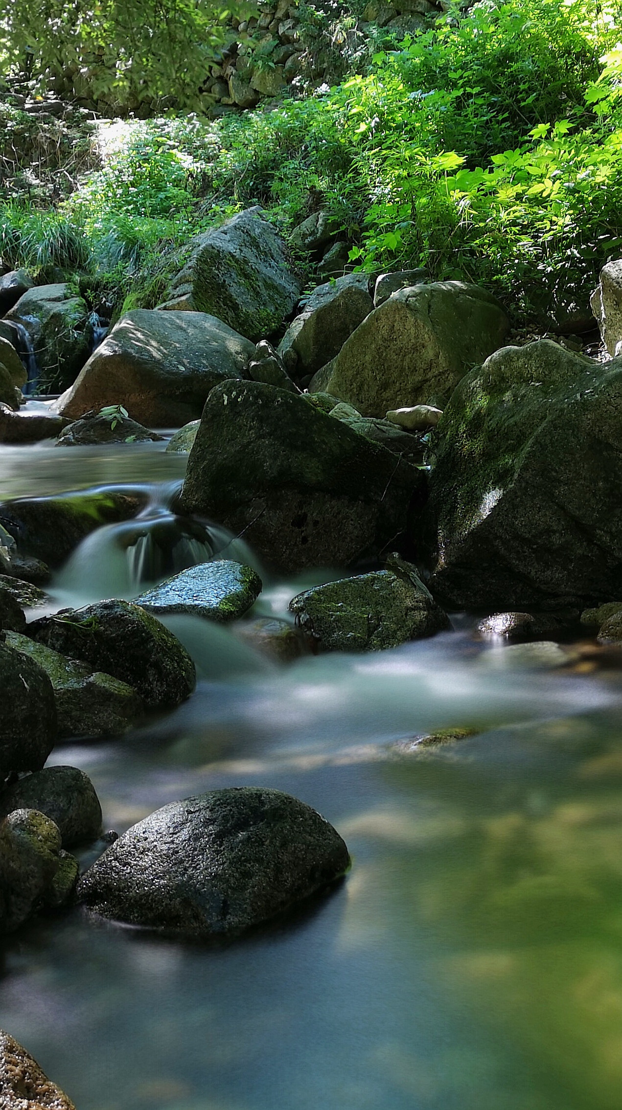 秦岭汤峪深处小河流水享清凉